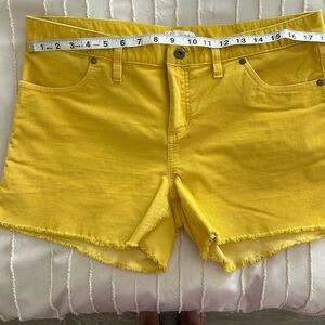 Carve Designs Oahu 4” Shorts Yellow